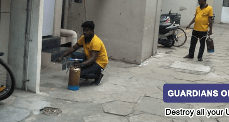SUGUNA PEST CONTROL - 1