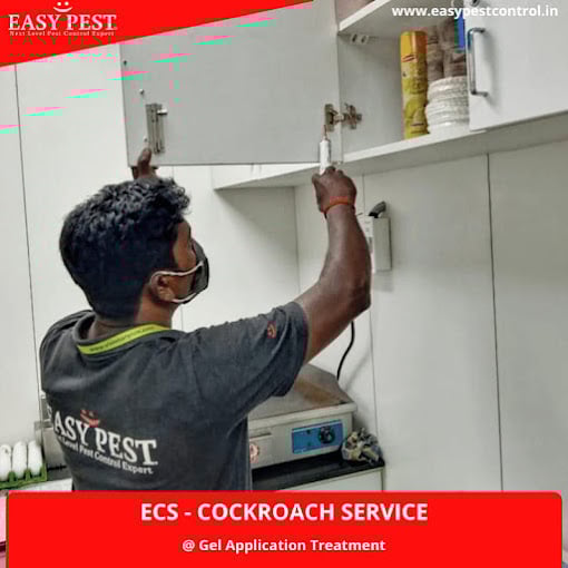Easy Pest Control - 2