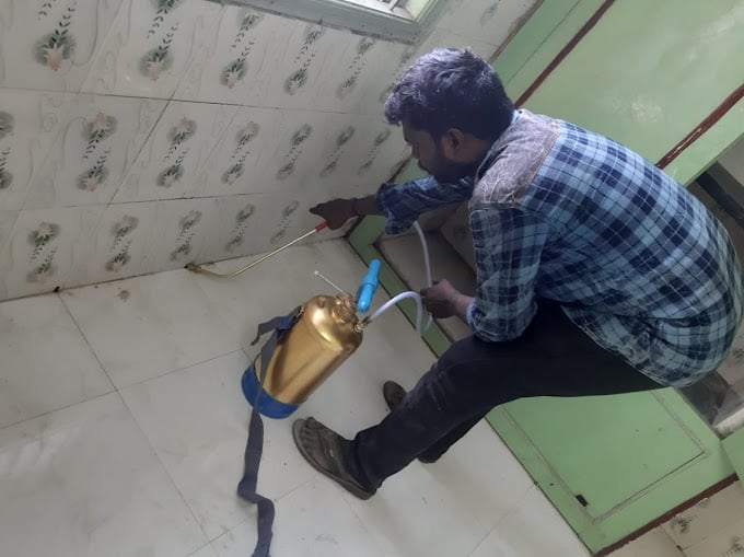 vms pest solutions - 2