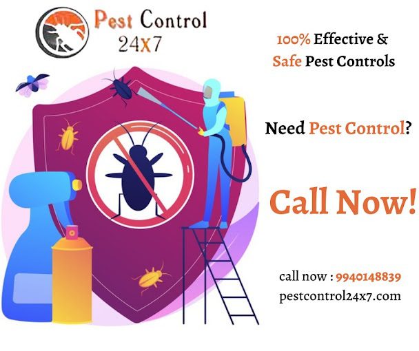 Pest Control 24x7 - 1