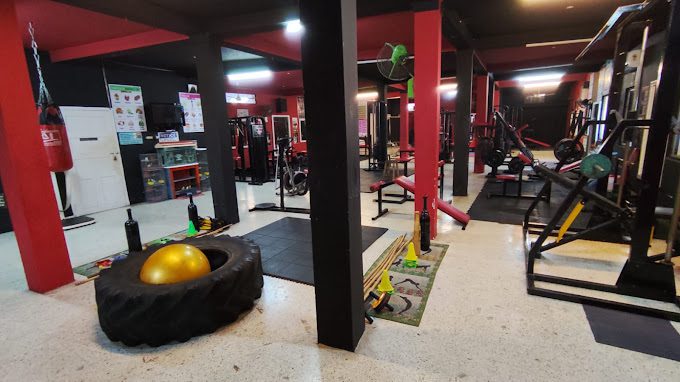 Just Gym (Men & Women) - 1