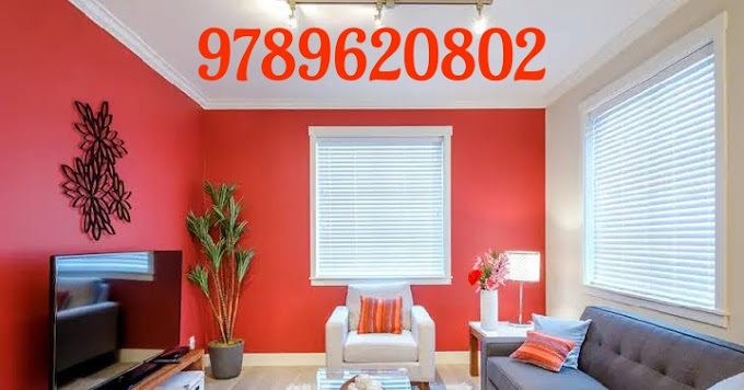 New Tom & Jerry Pet Shop - 2