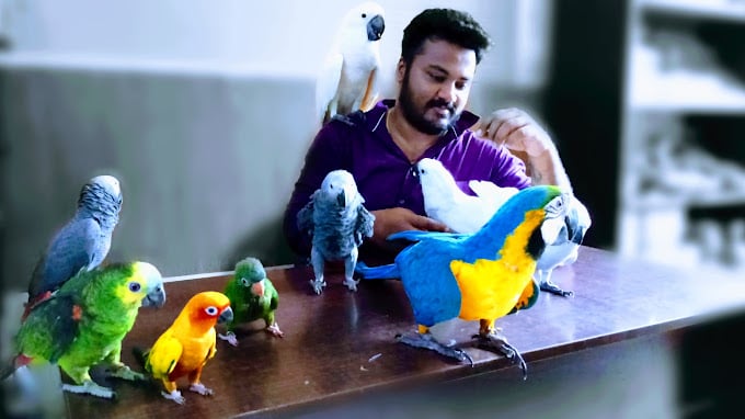 Tamed Pets - Velachery | Pet Store - 2
