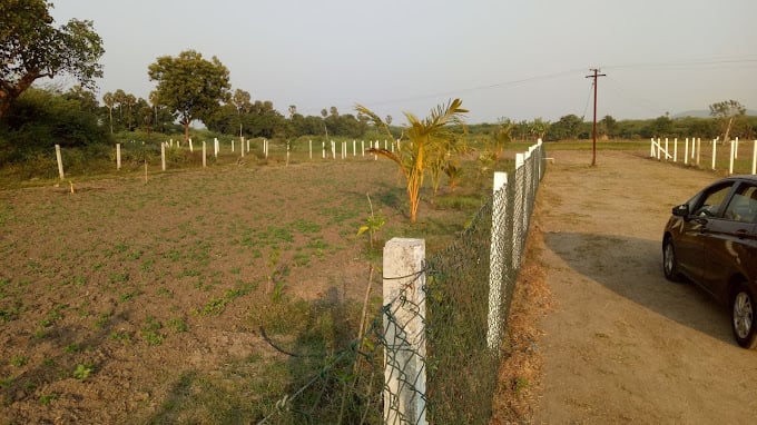 Paalaar Urban Farms - 3