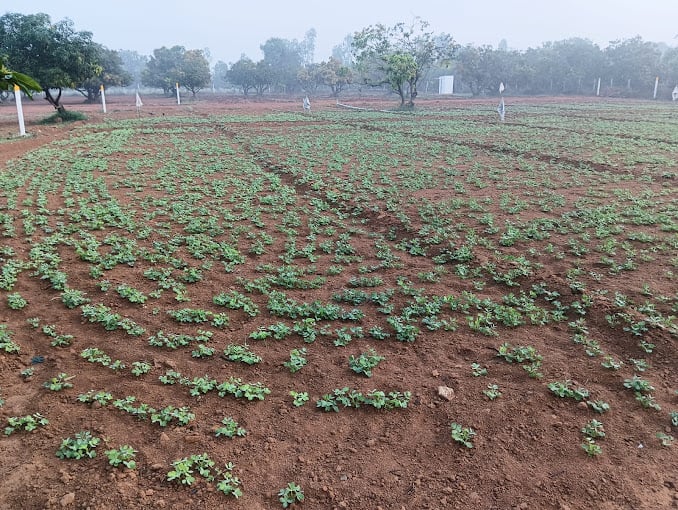 Nam Kudil Property Developers - 4