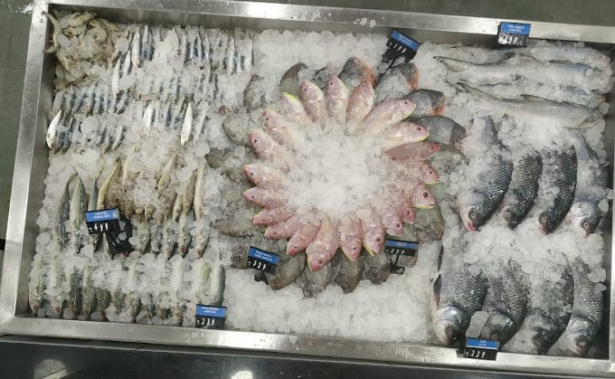 TenderCuts - Royapettah - 4