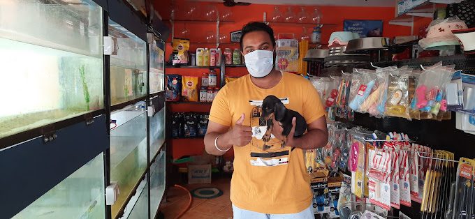 SBS Watch Square - 4