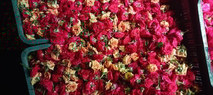 Koyambedu Flower market - 2