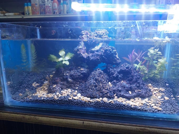 SkyJumper Trampoline Park Chennai - 1