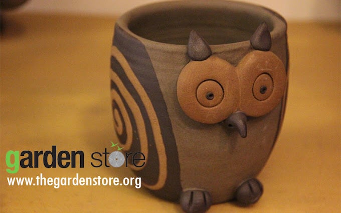 garden store - Garden Lifestyle Chennai - 3