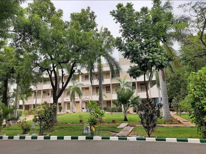 M.P. Timber & Plywoods - 3