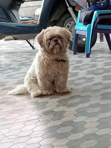 Entartica Sea World Coimbatore - 3