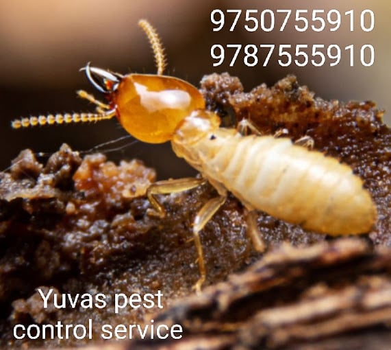 Solar Panel Installation and Dealer - 4