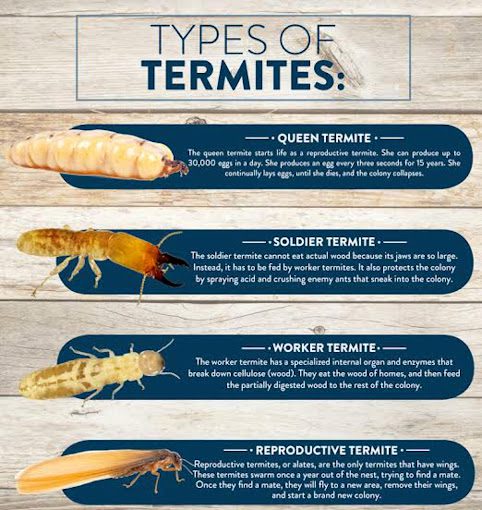 Haridev Infotech - 3