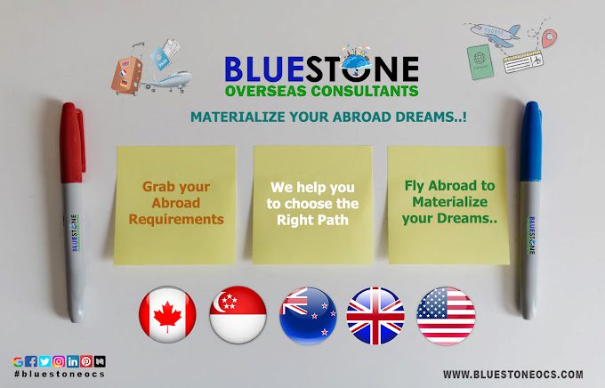 Bluestone Overseas Consultants