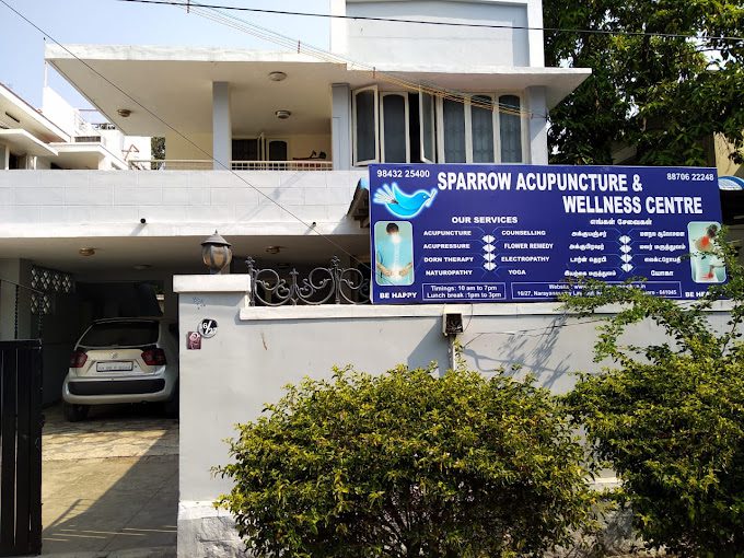 Sparrow Acupuncture - 1