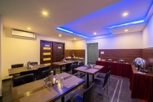 Daffodil Delight - 3