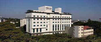 Fortune Select JP Cosmos