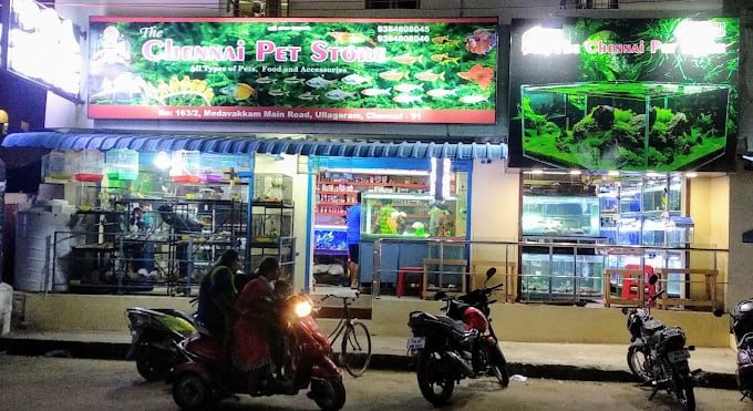 80s and 90s Saravamapatti - 4