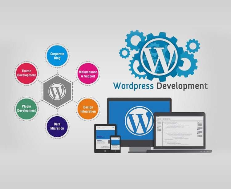 Webplinth Software Solutions - 2