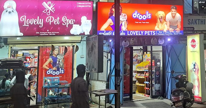 The Maark Trendz - 4