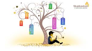 Shubhashish IT Services Limited - 1