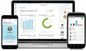 Shubhashish IT Services Limited - 2