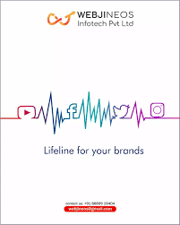 Webjineos Infotech Pvt Ltd - Digital Marketing Agency In Indore - 4