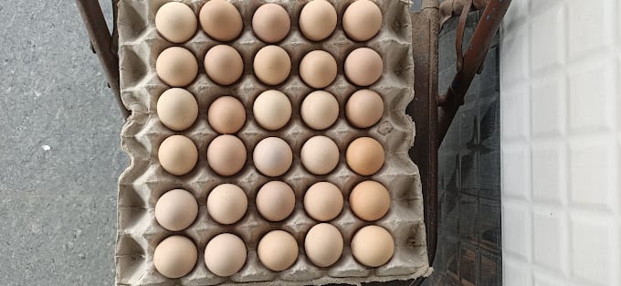 MBS Mutton And Chicken Stall - 3