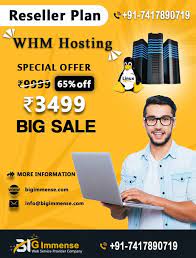 Bigimmense Web Services Provider Company