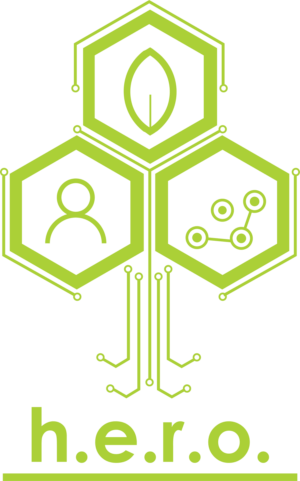 Insanity Saint Designs - 2