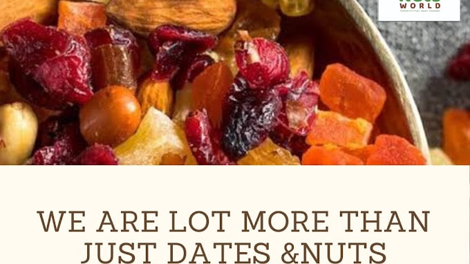 Nuts World Coimbatore - 2