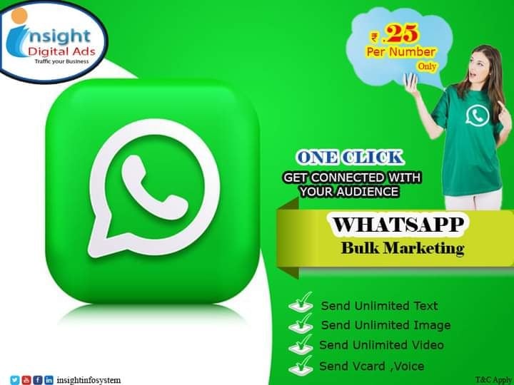 Insight Infosystem - 3