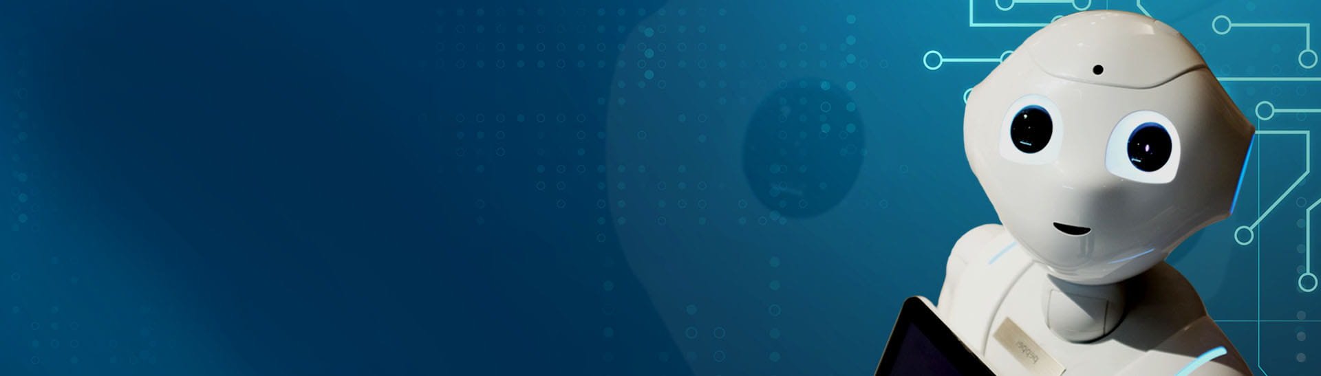 KD Software Website designing company - 4