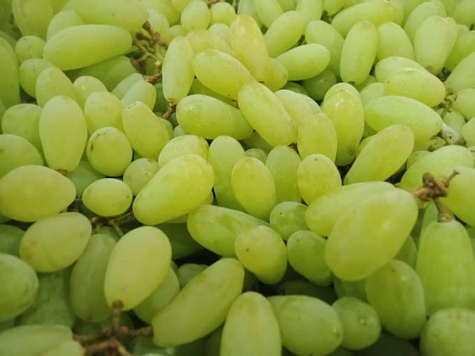 MS Gobi Vegetables and fruits - 2