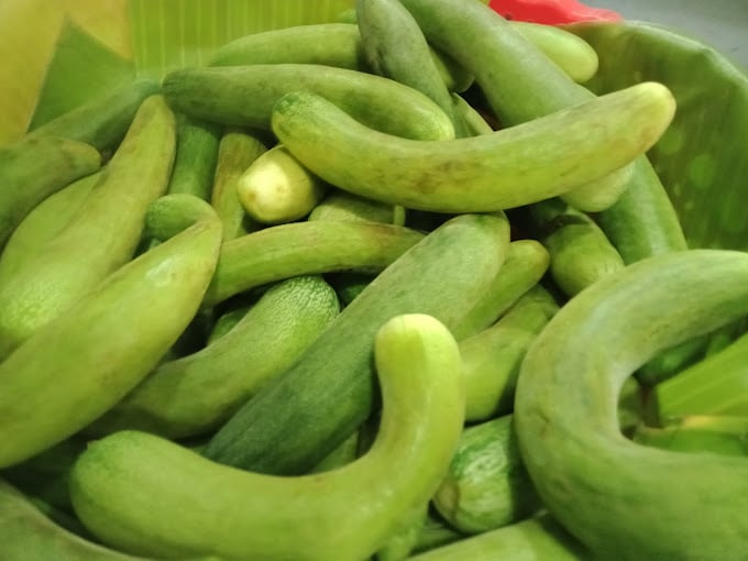 MS Gobi Vegetables and fruits - 4