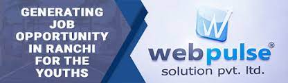 Webpulse Solution Pvt Ltd - 2