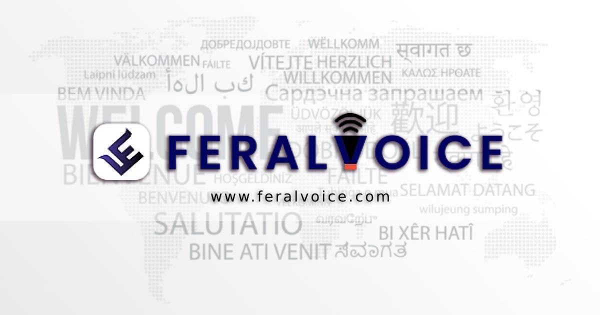 Feralvoice Design Development