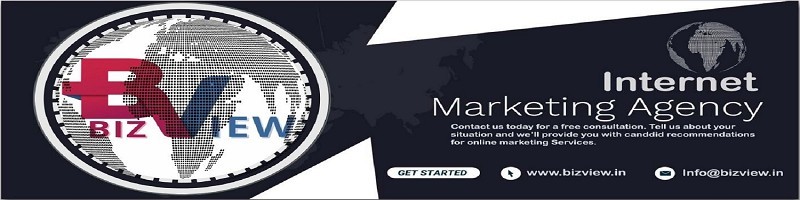 Bizview Business View India - 4