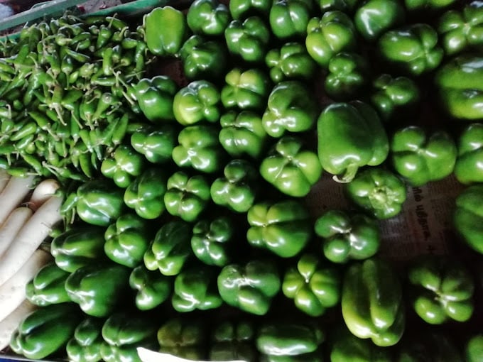 MS Ooty Vegetables - 3