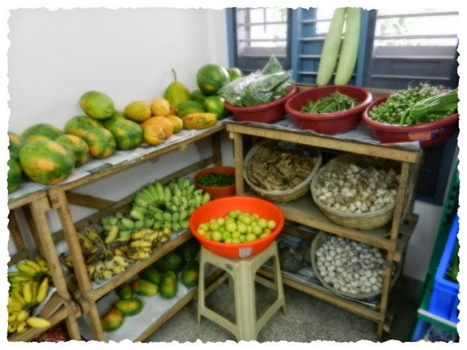 OTR Organic Farm Products - 3