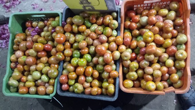 JENIFA KAI KANI ANGADI