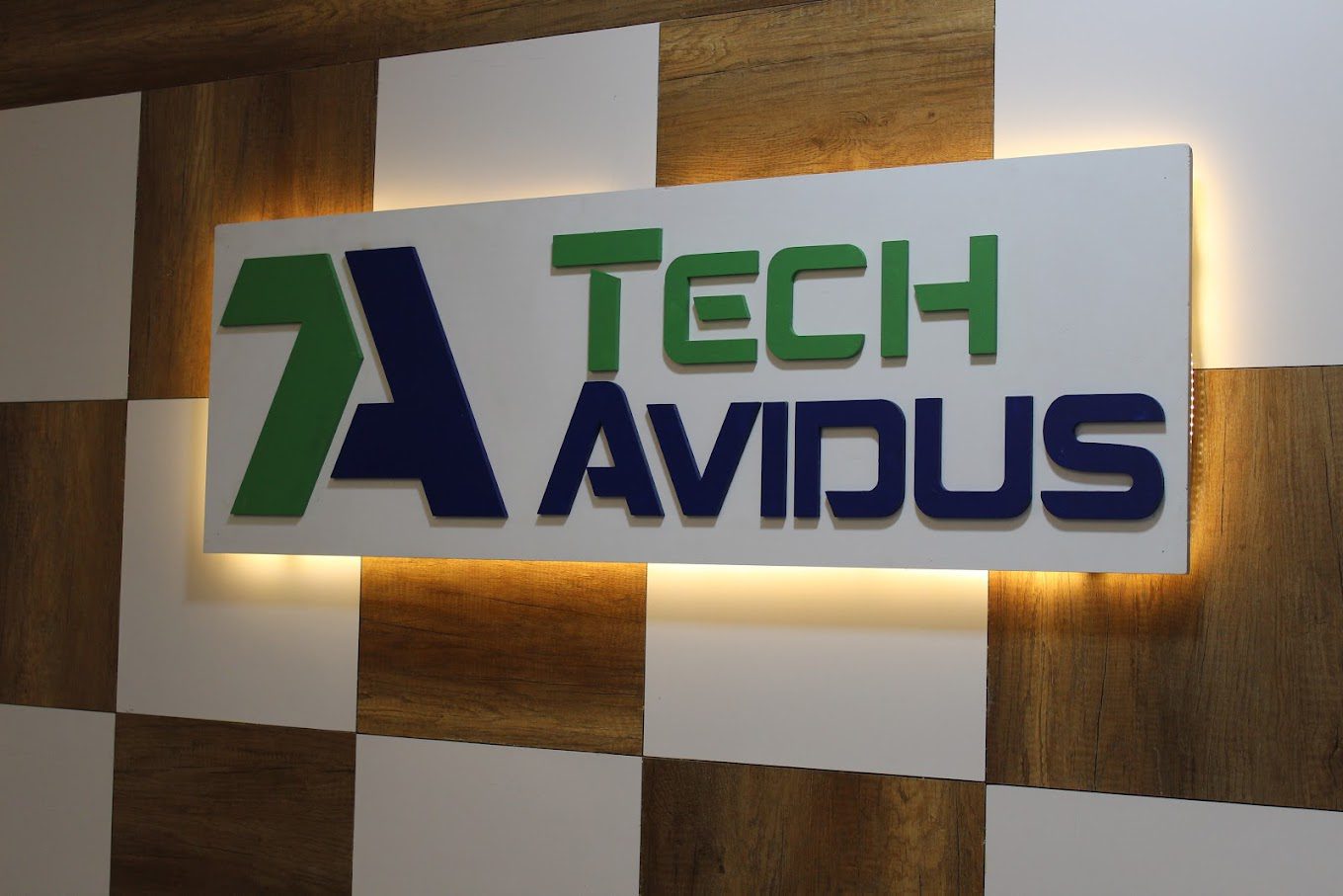TechAvidus