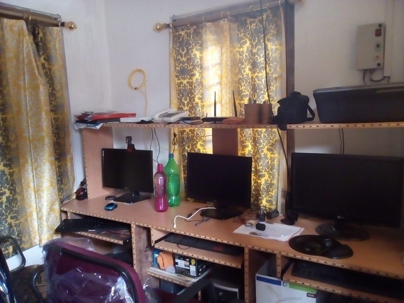 North East India Webs - 3