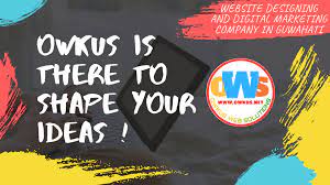 Owkus Web Solutions Pvt ltd