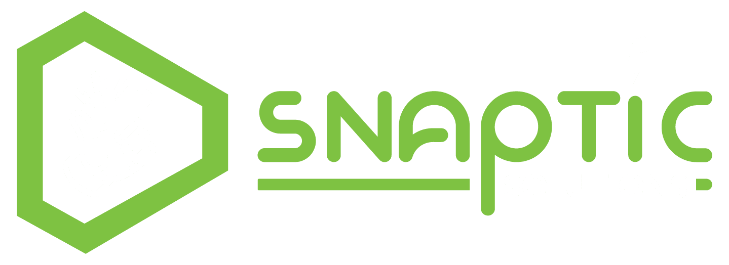 Snaptic Solutions