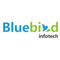Bluebird Infotech website development company