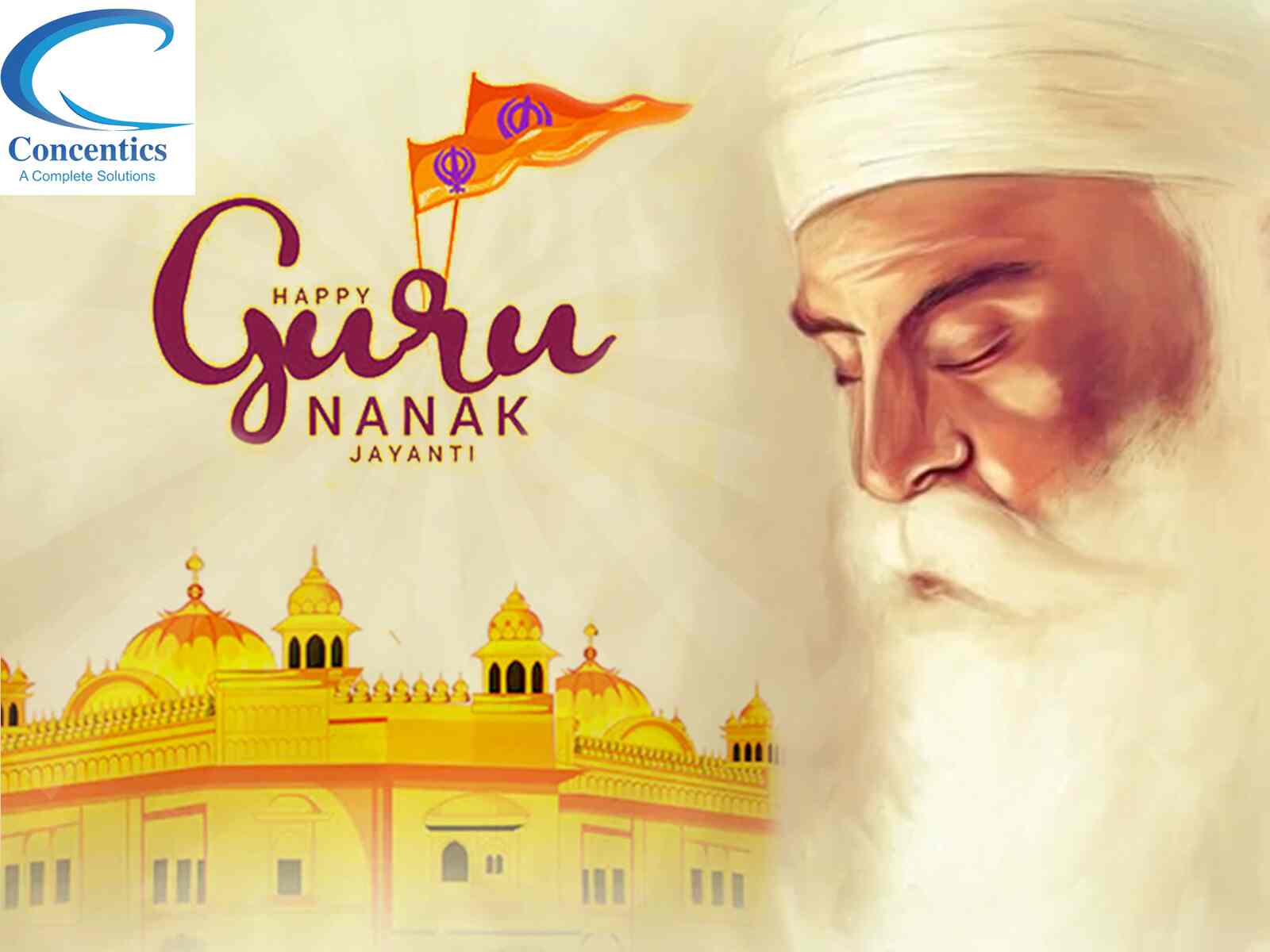 Concentics Solutions - 2