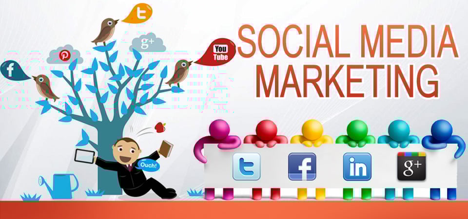 DIGIBINDER Digital Marketing Agency - 3