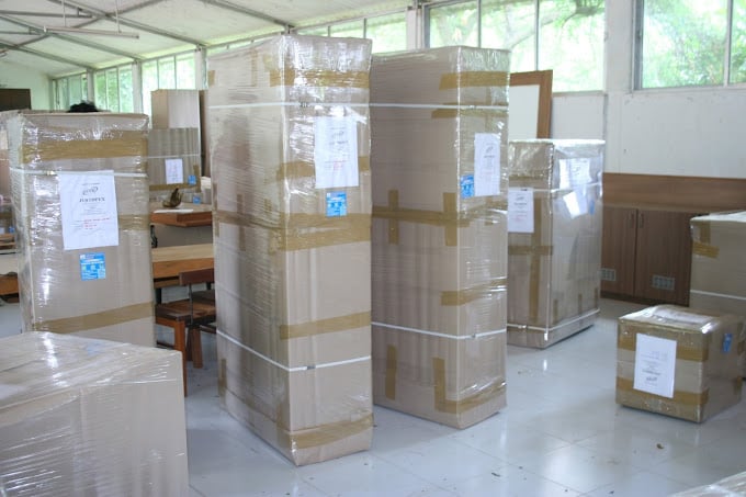 Professional Packers and Transports - 3